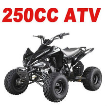 250CC AUS STRASSE ATV (MC-357)